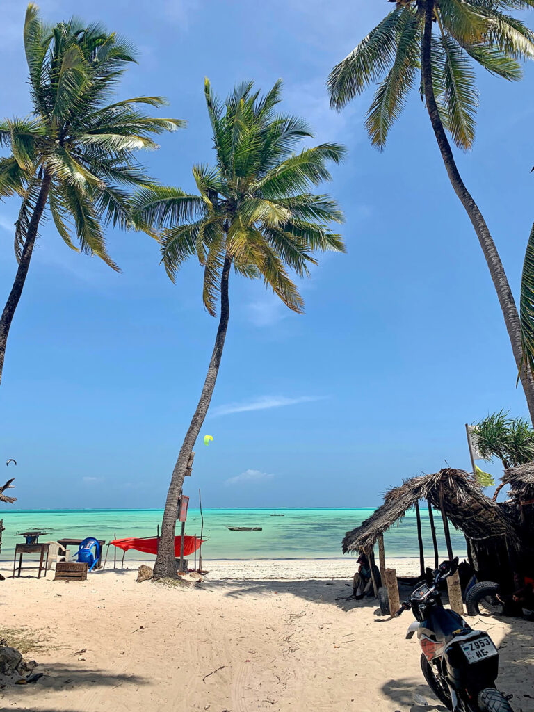 Zanzibar palmy na plaży